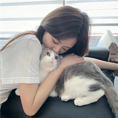 波普先生的企鹅